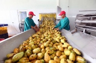 Thị trường Trung Quốc yêu cầu khắt khe với an toàn vệ sinh thực phẩm