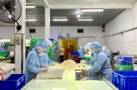 Doanh nghiệp nhỏ và vừa khó tiếp cận thị trường Nhật Bản và Hàn Quốc