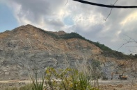 Nghệ An: Công ty cổ phần Quỳnh Giang bị phạt 520 triệu đồng