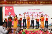 Bà Võ Thị Minh Sinh giữ chức vụ Chủ tịch Ủy ban MTTQ tỉnh Nghệ An