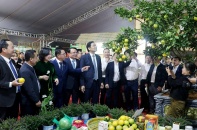 Hội chợ quảng bá sản phẩm nông nghiệp Nghệ An diễn ra từ ngày 5-11/11/2025