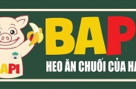 Hoàng Anh Gia Lai (HAG) phát hành cổ phiếu riêng lẻ, tham vọng lợi nhuận gấp 8,8 lần 