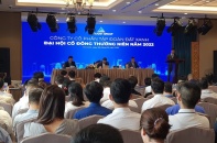 ĐHĐCĐ Đất Xanh: Đã có đối tác mua 300 triệu USD trái phiếu, bỏ ngỏ giá chuyển đổi