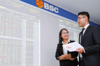 Chứng khoán BSC hoãn phát hành riêng lẻ cho Hana