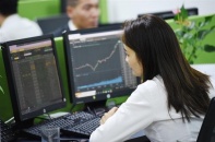 VN-Index thủng đáy năm