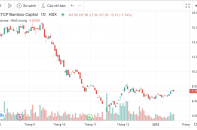 BCG: Danh mục chứng khoán không còn TPB, lãi cả năm hơn 540 tỷ đồng