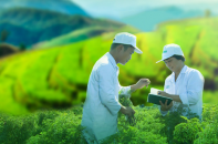 Traphaco đặt mục tiêu lợi nhuận tăng trưởng, cổ tức 30% bằng tiền