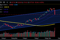 Góc nhìn TTCK tuần 21 - 25/8: VN-Index giảm sâu, nhà đầu tư cần bình tĩnh đón cơ hội