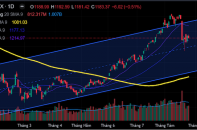 Góc nhìn TTCK tuần 28 - 31/8: VN-Index lưỡng lự, nhà đầu tư tiếp tục bình tĩnh “vào hàng”