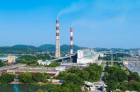 Nhiệt điện Phả Lại chi hơn 200 tỷ đồng trả cổ tức
