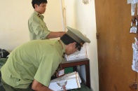 Đà Nẵng: Bắt giữ hơn 6.000 gói thuốc lá lậu
