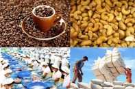 Doanh nghiệp cần chú ý gì để đạt lợi ích từ FTA Việt Nam-EU