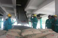 Công Thanh cho ra sản phẩm xi măng đầu tiên của dây chuyền 2