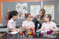 BIM Group - Syrena Việt Nam và Tập đoàn Giáo dục KinderWorld hợp tác chiến lược