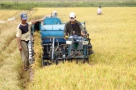 Bức tranh FDI vào nông nghiệp: Dự án ít, vốn thấp