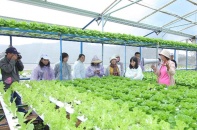 Khách hàng tham quan Trạm trung chuyển rau quả Đà Lạt của MM Mega Market 