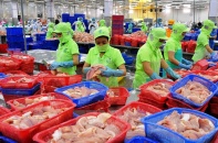GDP quý I/2017 tăng 5,1%
