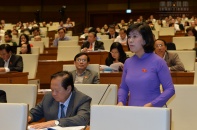 Đồng tình phương án xây dựng thiết chế Trưởng đơn vị hành chính - kinh tế đặc biệt