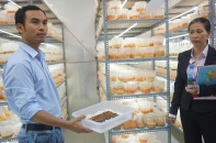 Đẩy mạnh khoa học công nghệ để phát triển kinh tế