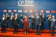 CPTPP - Những điều cần biết trước thềm mùa Xuân 2019