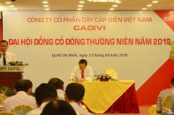 Đại hội cổ đông CADIVI: Đầu tư mới khoảng 1.000 tỷ đồng từ vốn chủ sở hữu và vốn vay