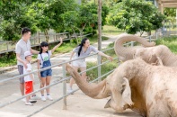 Tổ ấm của hơn 2000 động vật hoang dã ở vườn thú lớn nhất bắc trung bộ