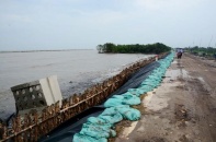 Cà Mau "căng mình" chống sạt lở đê biển Tây