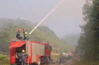 Kiểm lâm chủ động bảo vệ rừng bền vững