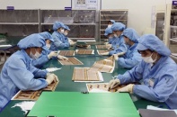 Doanh nghiệp gặp khó bởi Covid-19 có thể tạm dừng đóng quỹ hưu trí và tử tuất tới tháng 12/2020