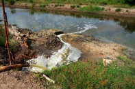 Cà Mau quản chặt hoạt động xả thải vào công trình thủy lợi