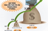 Công ty cổ phần Thaiholdings và câu chuyện mô hình mẹ - con