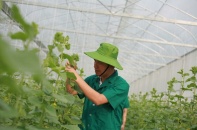 7 tháng đầu năm 2020, Thanh Hóa thành lập doanh nghiệp mới đứng đầu Bắc Trung Bộ