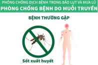 Phòng bệnh sốt xuất huyết sau mùa mưa lũ