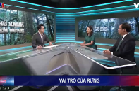 Sự kiện bình luận VTV1 - Chương trình truyền hình chính luận nổi bật năm 2020