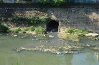 Lâm Đồng: Xử phạt doanh nghiệp xả thải không phép