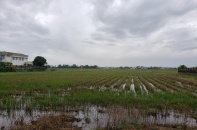 Đà Nẵng: Dự án Khu đô thị Phong Nam chưa giao đất đã khởi công