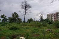 Loạt khu đất “vàng” ở Đà Nẵng “vườn không nhà trống” suốt nhiều năm, vì sao?