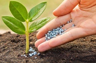 Tình trạng buôn bán phân bón giả ở Lâm Đồng chưa được kiểm soát