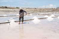 Vi phạm tiến độ sử dụng đất, Công ty Muối Khánh Hòa được… gia hạn tiến độ