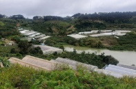 Đến năm 2030, nội thị TP. Đà Lạt không còn nhà kính