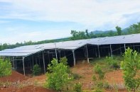 Giá mua bán điện chưa công bằng giữa các loại hình năng lượng