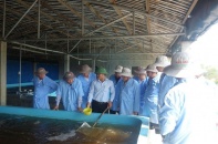 Lâm Đồng và Phú Yên hợp tác phát triển nông nghiệp, du lịch, khoa học - công nghệ