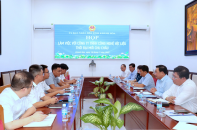 Khánh Hòa: Nhà đầu tư đề xuất Dự án Sản xuất cánh quạt điện gió, diện tích hơn 31 ha