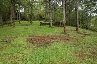 Lâm Đồng kiểm tra các dự án đầu tư liên quan đến rừng