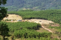 Đà Nẵng lấy ý kiến xây dựng Bảng tính thuế tài nguyên 2026