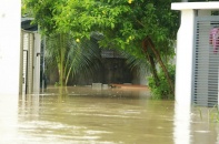 Khánh Hòa yêu cầu tập trung toàn lực ứng cứu người dân trong lũ