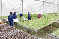 Đà Nẵng đầu tư hơn 56 tỷ đồng nâng cấp Trung tâm Công nghệ sinh học