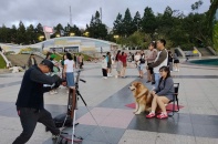 Lâm Đồng xây dựng Đề án “Bảo đảm an ninh, an toàn hoạt động du lịch”