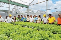 Lâm Đồng xây dựng kế hoạch phát triển kinh tế tập thể, hợp tác xã năm 2026