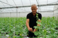 Hưng Yên: OCOP viết tiếp hành trình nâng tầm nông sản địa phương